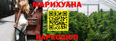 крисы Аргун