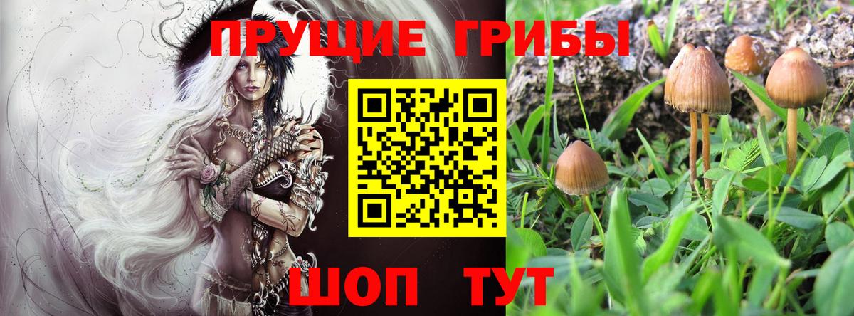Псилоцибиновые грибы Magic Shrooms  Псилоцибиновые грибы Psilocybe  цены   Златоуст 