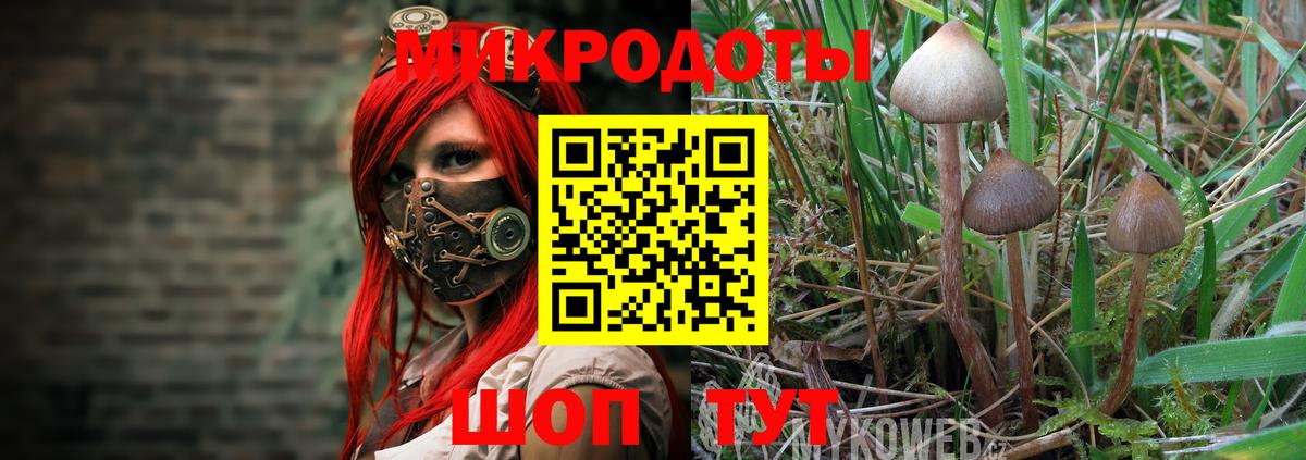 Псилоцибиновые грибы мицелий Златоуст