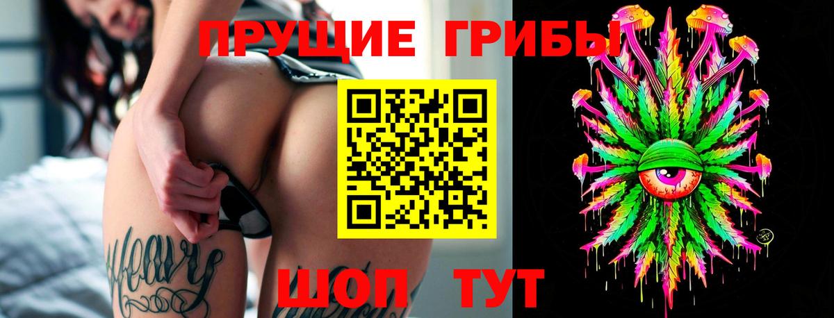 Псилоцибиновые грибы ЛСД Златоуст